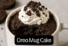 Oreo Mug Cake: Quick, Delicious Dessert in Minutes - Post Thumbnail