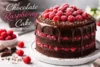 Chocolate Raspberry Cake Recipe in 11 Easy Steps - Post Thumbnail