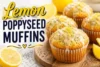 Lemon Poppyseed Muffins Recipe in 11 Steps - Post Thumbnail